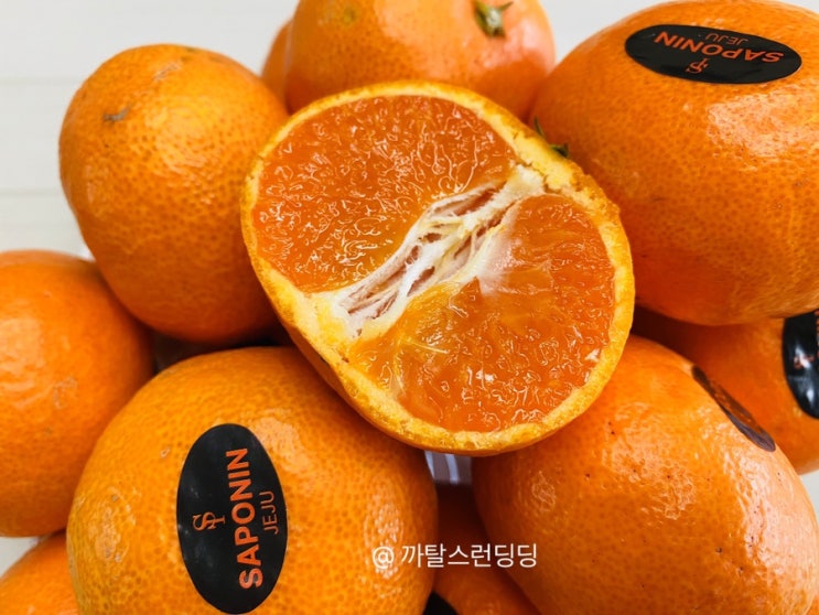  [제주/산지직송] 새콤달콤 당도 높은 '공존 제주' 서귀포 사포닌 귤 추천 드려요 !