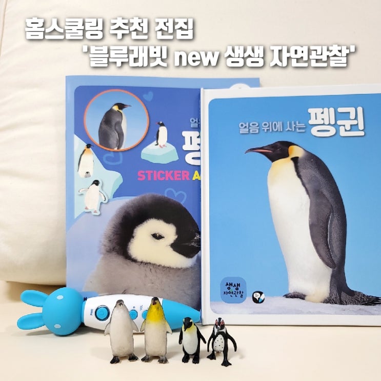  블루래빗 생생 자연관찰로 홈스쿨링해요 (날개 있는 동물편)