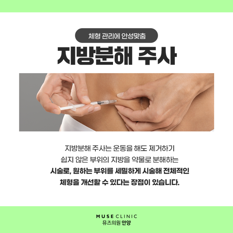 안양 다이어트 나에게 맞는 체중 감량 방법, 예신 안양 범계 the Premium 찜 후기 안양 다이어트 나에게 맞는 체중 감량 방법, 예신 안양 범계 the Premium 찜 후기