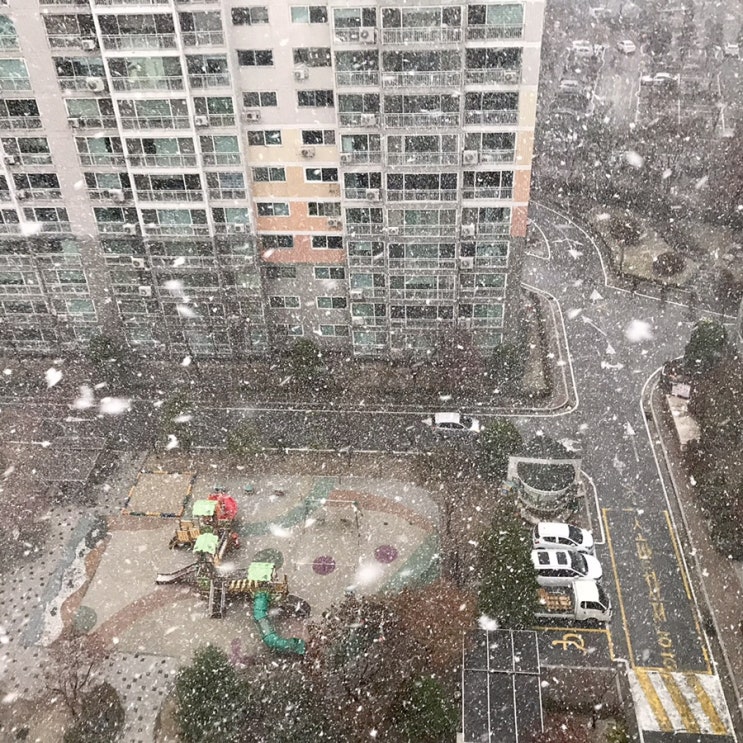 눈보라가 휘날리는 오후
