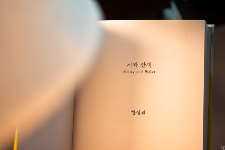  '시와 산책' 나의 마음을 평온하게 만드는 레시피 같은 책