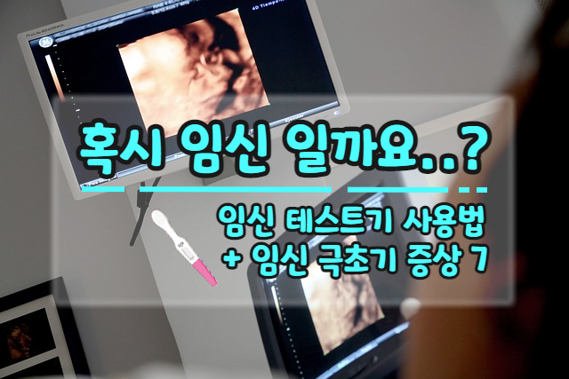  희미한 두 줄, 애매한 몸의 변화, 임신일까? 아닐까? 임신 테스트기 사용법 + 임신 극초기 증상