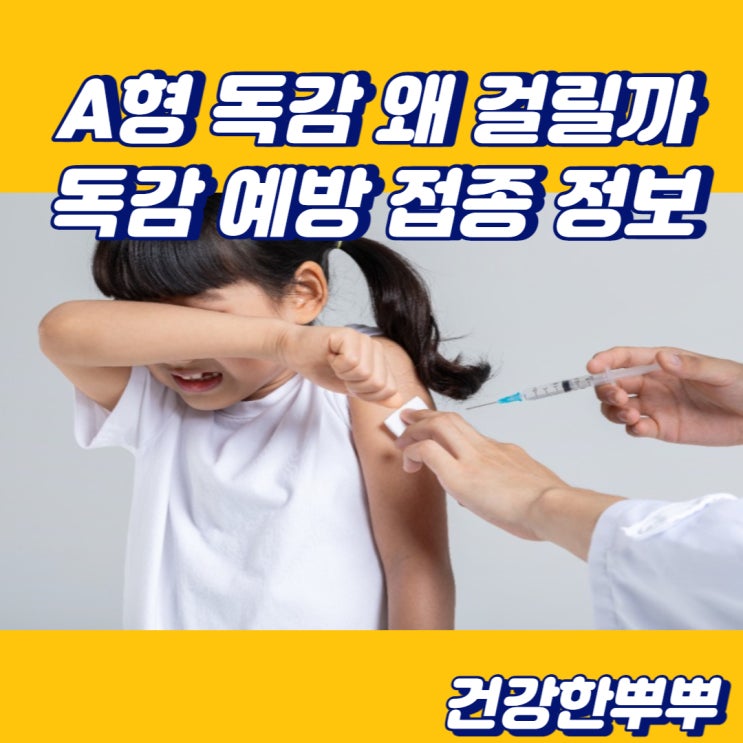  A형 독감 증상 A형 독감 원인 왜 걸릴까요? 독감무료접종 정보