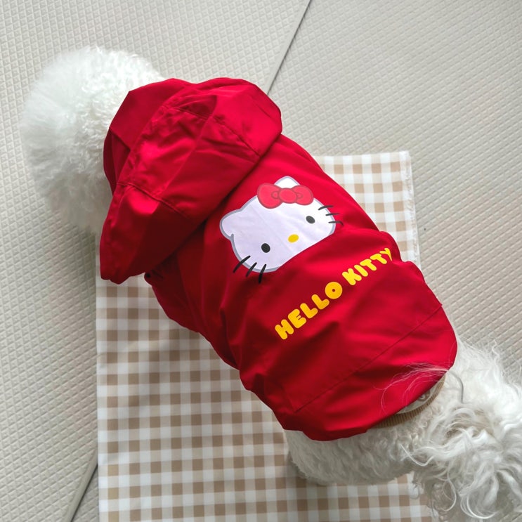  간절기 강아지 옷, 헬로키티 바람막이
