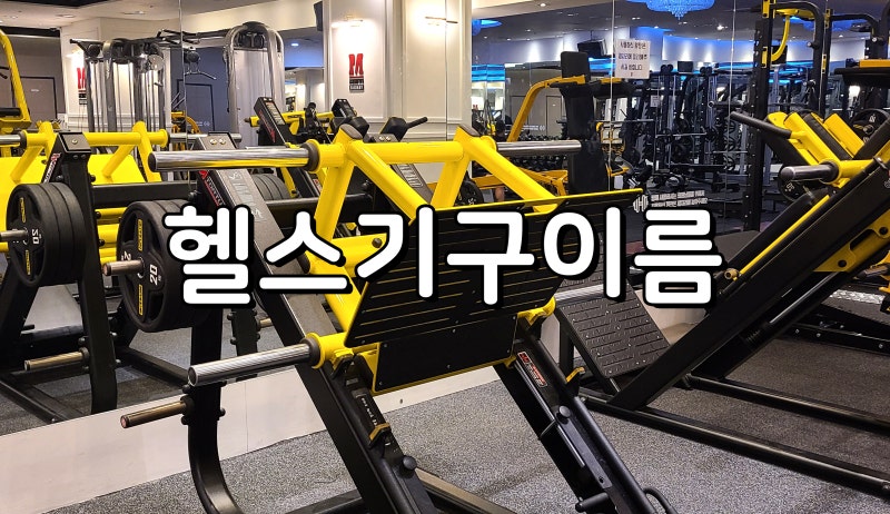 장항동 PT헬스 입문자가 알아두면 좋은 피트니스 기구 용어집