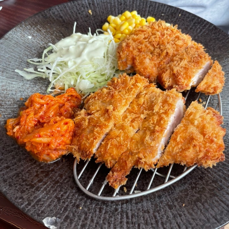  대전 맛집,충남대 맛집,돈까스 맛집-별리달리