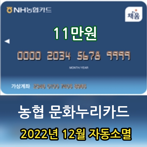  농협 문화누리카드 사용처 가맹점, 농협카드 농협 채움카드 소멸전에 사용 사용법 서울 양천구 신월동 무게로 헌책방 중고서점에서 책 도서 구입하세요.