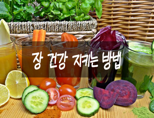  장 건강 지키는 방법