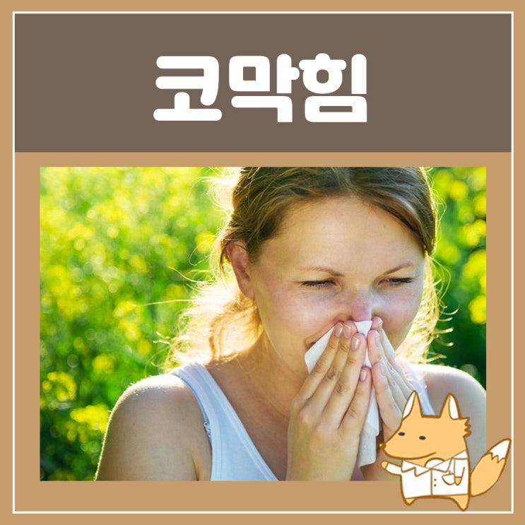  비염에좋은음식 다래추출물 잠잘때 코막힘 아기 신생아 코막힘