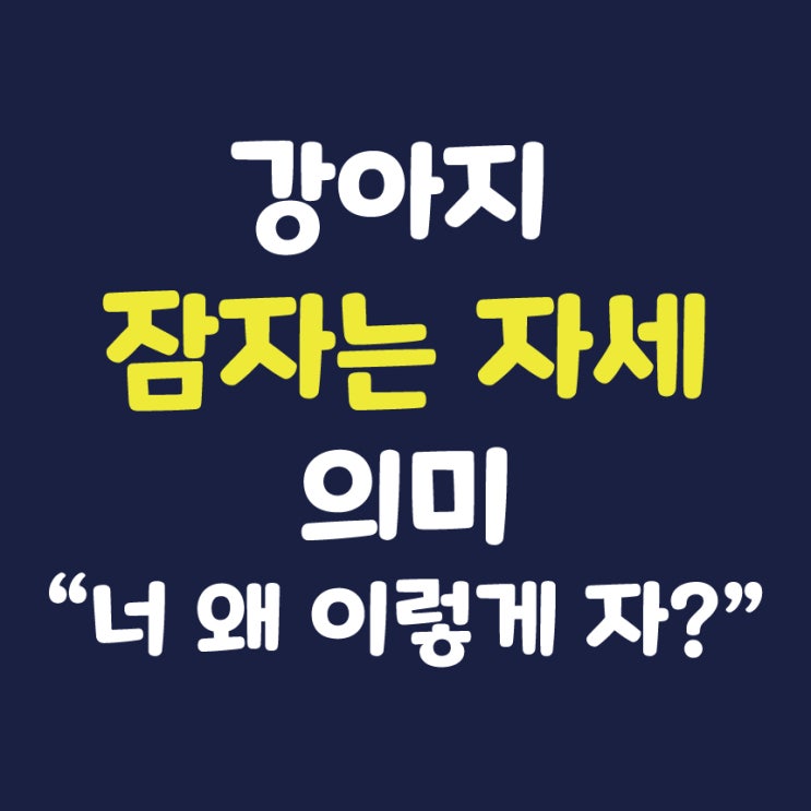 강아지 잠자는 자세의 의미 - 왜 이러고 잘까요?