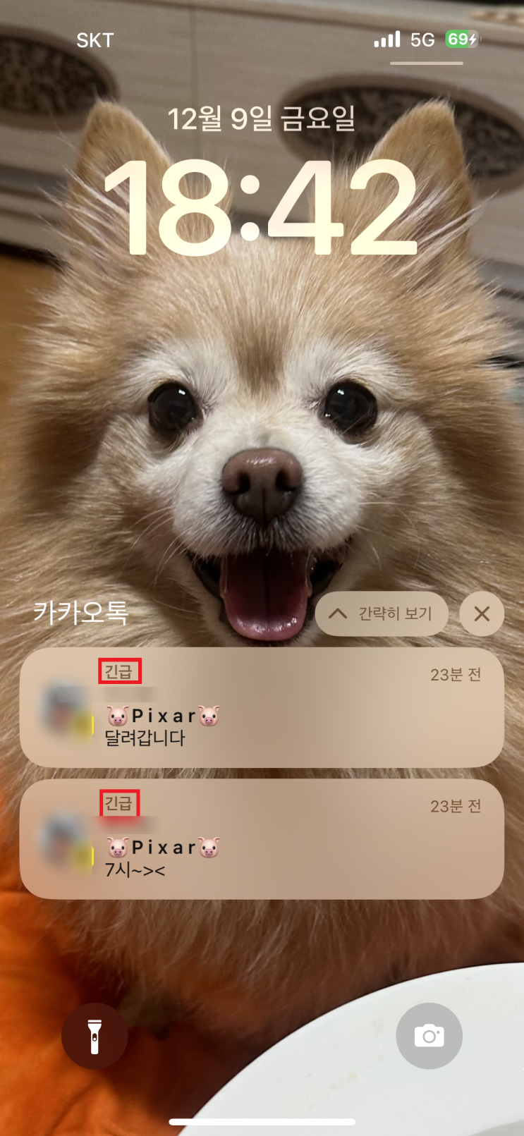 카카오톡 긴급 알림 끄기 카카오톡 긴급 알림 끄기