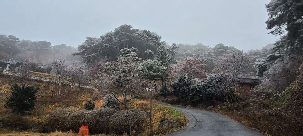 진잠산 사진 5
