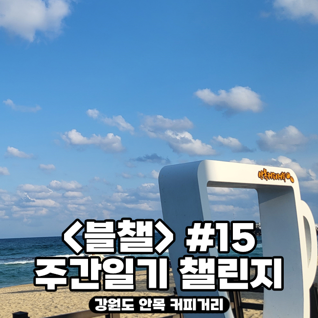  [블챌] 주간 일기 챌린지 #15 | 강릉 당일치기 여행 | 안목 해변 |안목 커피거리