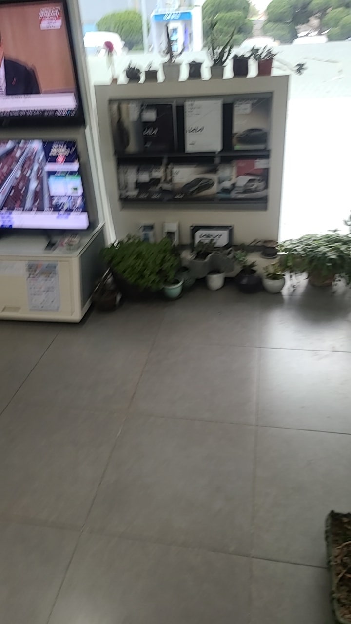 현대자동차블루핸즈 무안점 사진 2