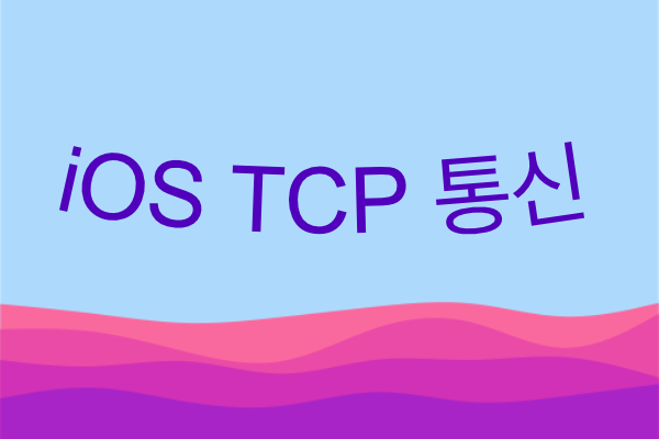  iOS TCP 통신