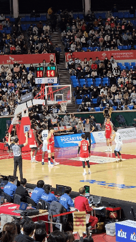 잠실학생체육관 프로농구직관 전주KCC이지스 VS 서울SK나이츠 박빙 잠실학생체육관 프로농구직관 전주KCC이지스 VS 서울SK나이츠 박빙