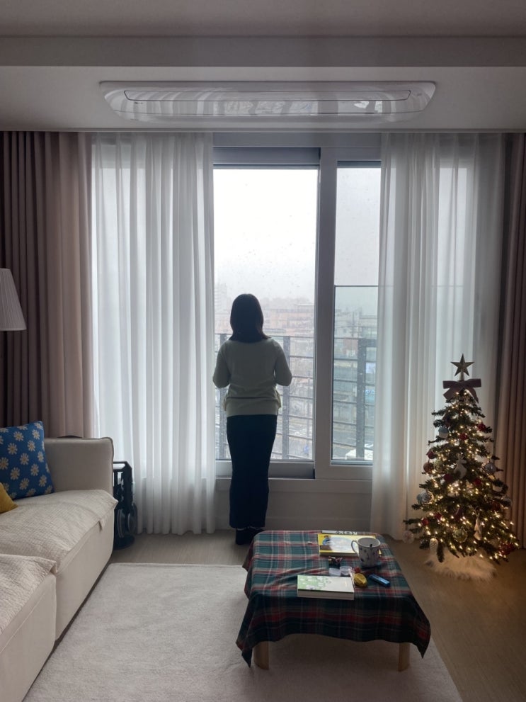  1213 요란스러운 함박눈