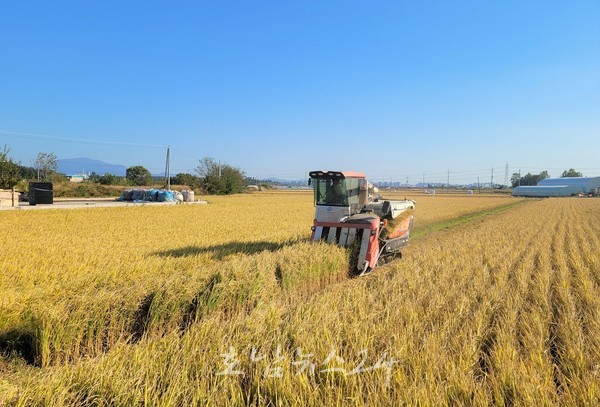  장성군, 종자 구입비 포대 당 1만 원 지원… 벼농사 경영비 절감 나서