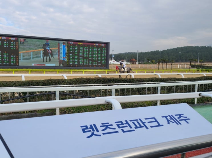 제주말 구경하고 경마로 돈도 따보고 렛츠런파크 제주