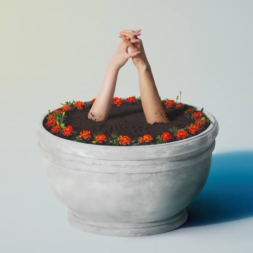  あいみょん 「マリーゴールド」 : 아이묭(Aimyon) 마리골드(Marigold) 듣기/가사/발음/해석