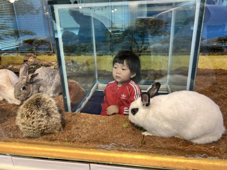  별내 아쿠아파크 아이와 함께 체험형 실내동물원