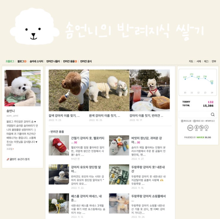  네이버 인플루언서 탈락한 꼬맹이 블로그, 주소 변경 후 지수 초기화까지?