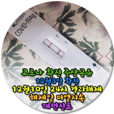 코로나 확진 그리고 격리해제 후 성인미열지속 증상공유해요