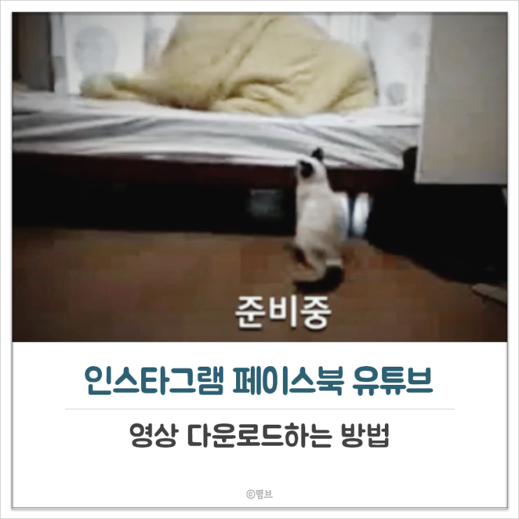  인스타그램 페이스북 유튜브 영상 다운로드하는 방법 feat 흑역사
