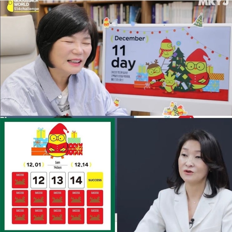  11일차 12월 짹짹이 인증