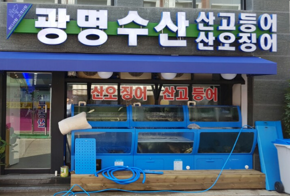  이수역 광명수산 (석화 / 소방어) 먹방