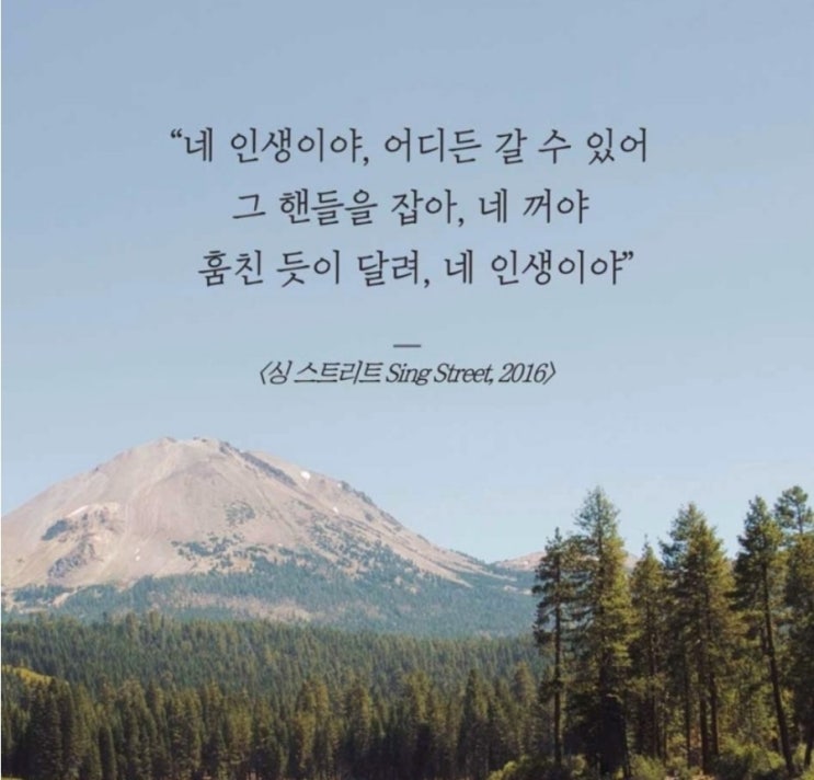  부거사이 [부동산 뉴스와 블로그] 12월 14일(수)