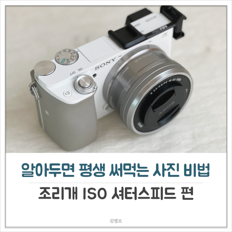  조리개 ISO 셔터스피드  ,알아두면 평생 써먹는 사진 비법