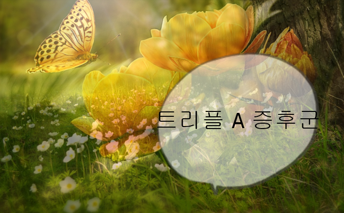  트리플 A 증후군