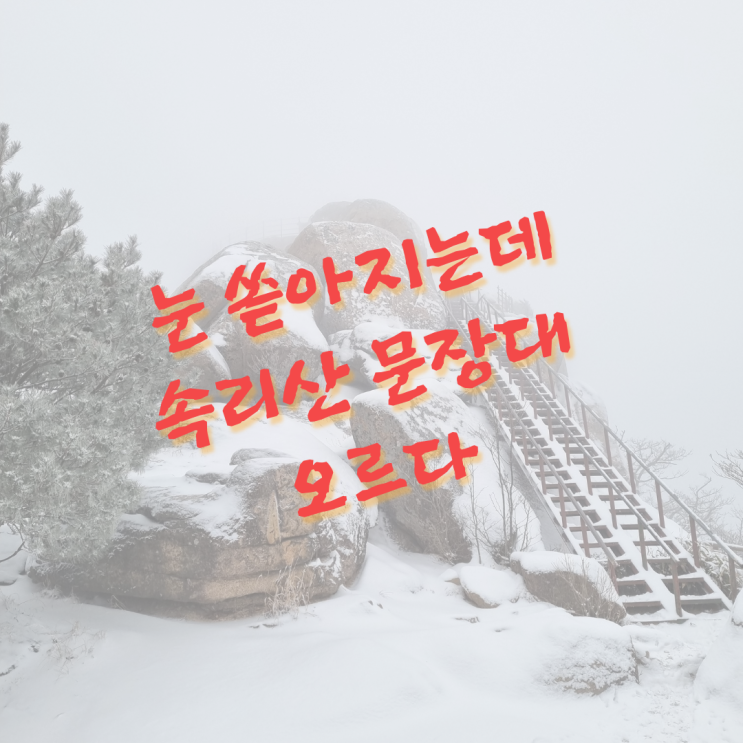  눈 쏟아지는데 속리산 문장대 오르다