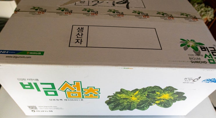  영양도 맛도 비금도 섬초