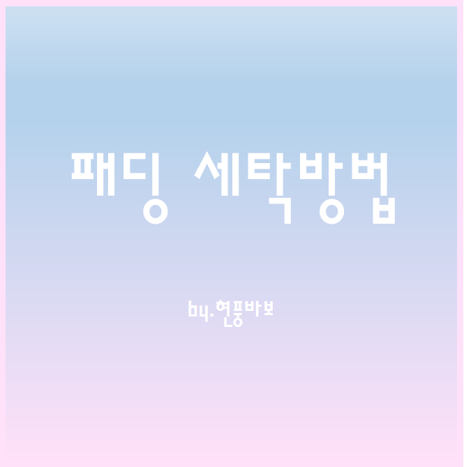 겨울 다운 패딩 셀프 세탁 방법