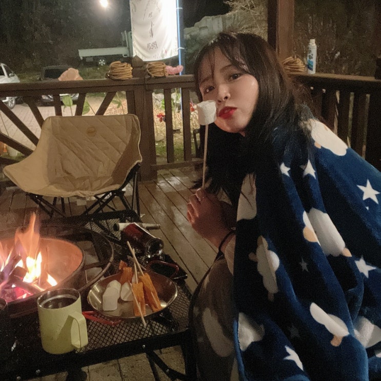  안성카페 '불멍하는 고양이' = 고양이 한가득인 안성 캠핑카페 불멍, 마시멜로우까지