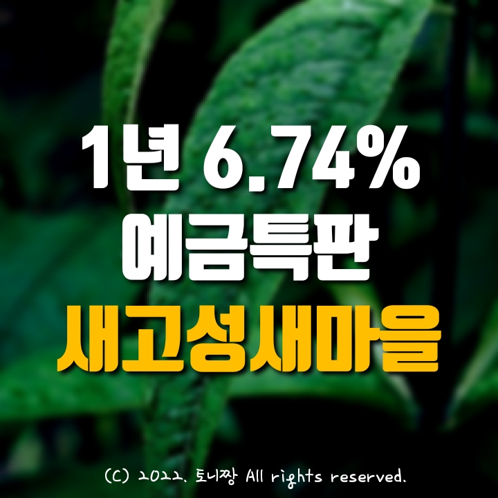 예금특판 12개월 연6.74% 새고성새마을금고, 14일(수) 09시~