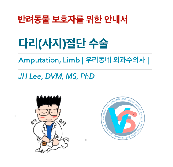  [동물병원안내서] 강아지/고양이 다리(사지) 절단술 amputation - 반려동물 보호자를 위한 안내서 (우리동네 외과수의사)