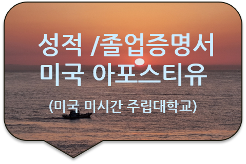 미국 미시간 주립대학교 졸업증명서 및 성적증명서 '아포스티유' 전문 대행 [구리/중랑/하남/노원/남양주]