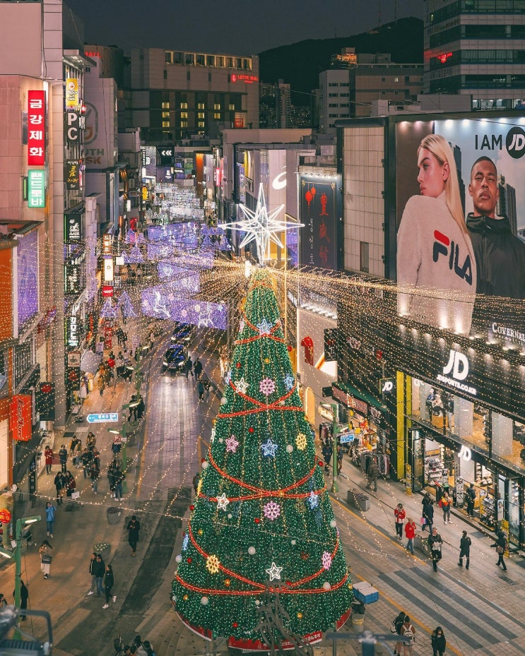  [부산] 화려한 대형 트리로 축제 시작! 부산 크리스마스 트리 모음집