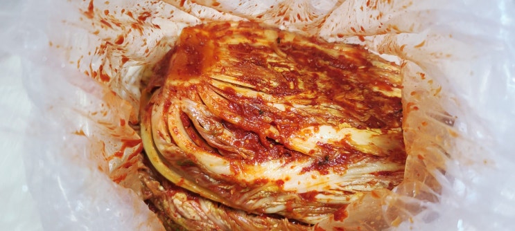  엄마가 그립다 자취생들 필수 맛있는 전라도 김치 추천