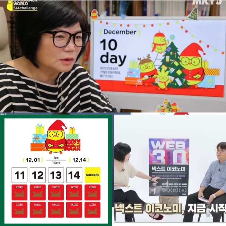  10일차 12월 짹짹이인증
