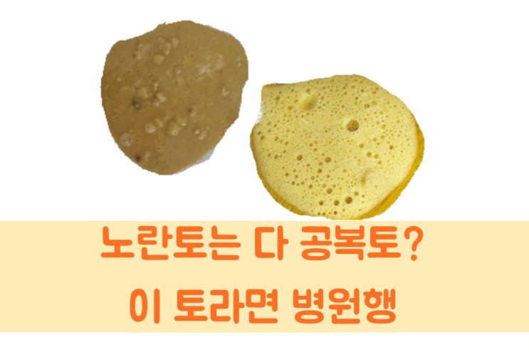  강아지 노란토 종류와 토하는 이유