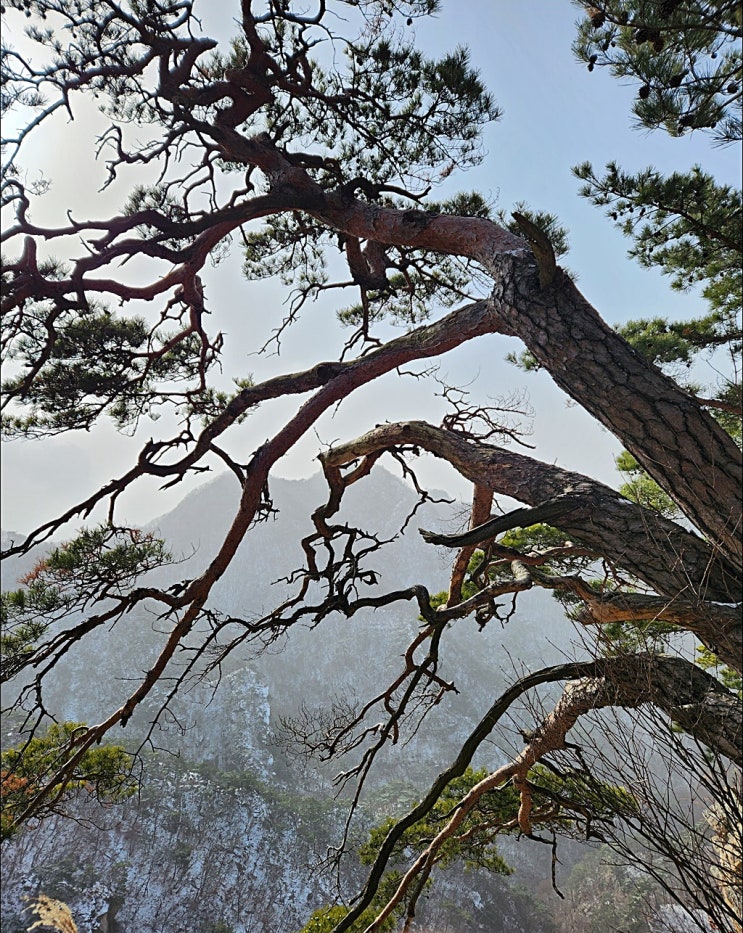  소요산 겨울산행 (feat. 등산코스, 주차정보)