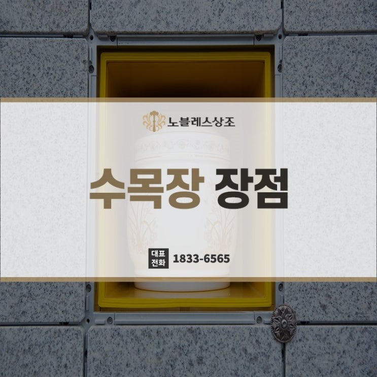  선택하기 전 고려해볼 수목장 장점과 단점