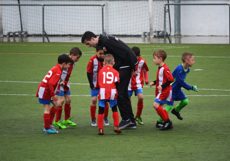 AFC B급 자격 취득정보 AFC B급 자격 취득정보