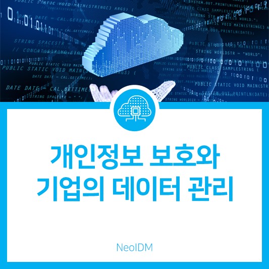 [NeoIDM] 개인정보 보호와 기업의 데이터 관리