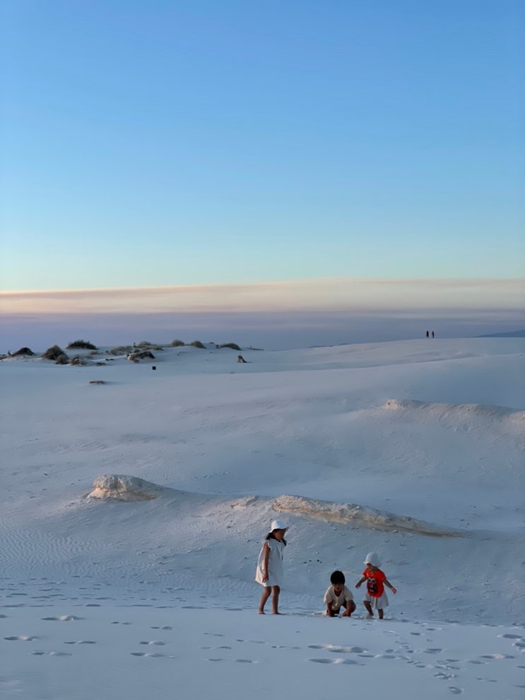  미국 뉴멕시코-화이트 샌즈 국립공원(White sands national park) 아기랑 가족여행