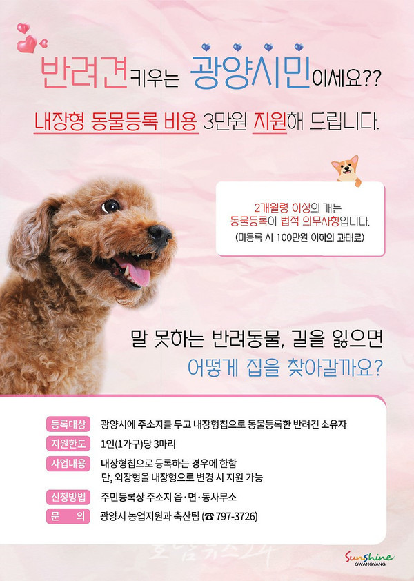  광양시, 반려견 내장형 칩 동물등록 비용 3만 원 지원